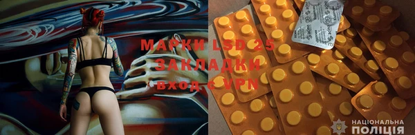 ГАЛЛЮЦИНОГЕННЫЕ ГРИБЫ Алексин