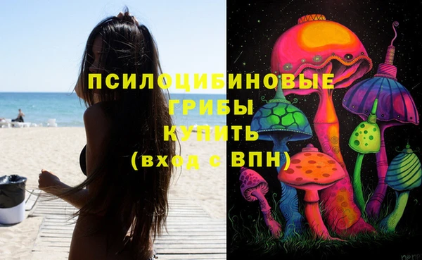 бутират Алзамай