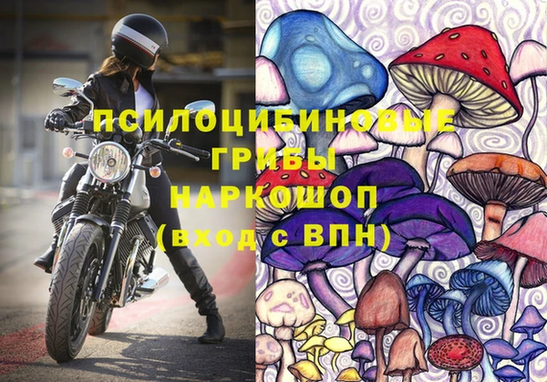 бутират Алзамай