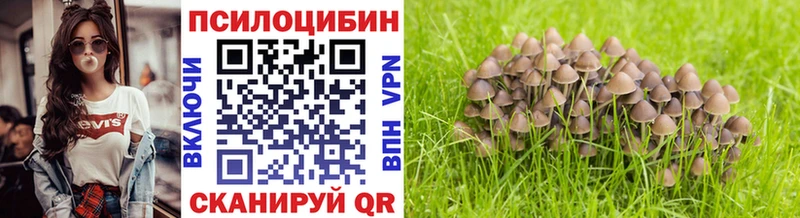 Псилоцибиновые грибы мицелий  Еманжелинск 